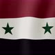 The National Flag of Syria - VideoHive Item for Sale