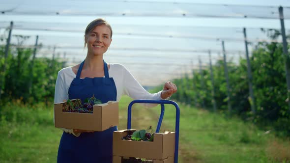 Young Lady Holding Box at Agriculture Modern Green House alt