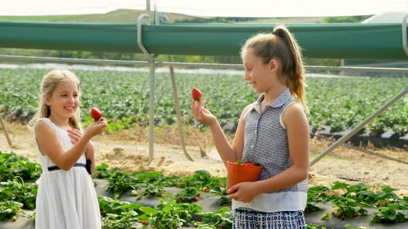 Girls holding strawberries in the farm 4k alt
