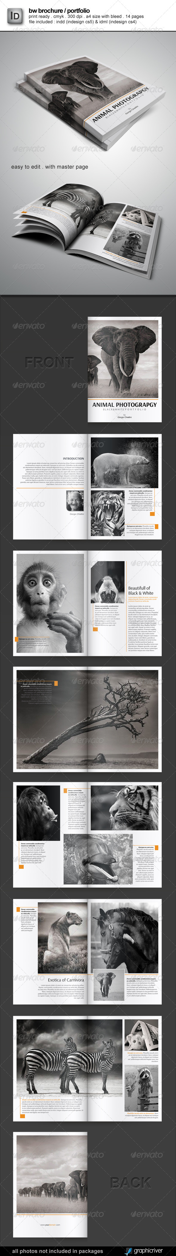 Brochure / Portfolio Template - Portfolio Brochures