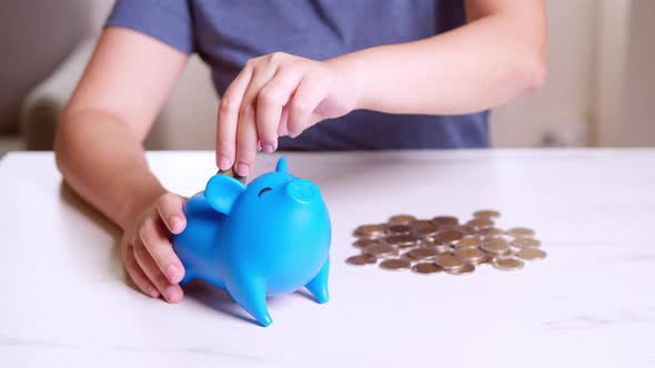 Hands of a woman putting money coin into blue piggy bank with blank metaphor separate kind of money alt