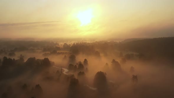 Atmospheric Aerial Scenery Mysterious Foggy Valley with Forest and River Covered with Thick Mist on alt