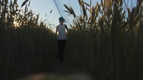 Funny Boy Playing with Airplane in Golden Wheat Field Background of the Blue Sky Out of Focus alt