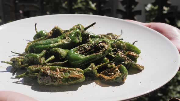 Traditional Spanish Patron Peppers Green Padrons Tapas alt