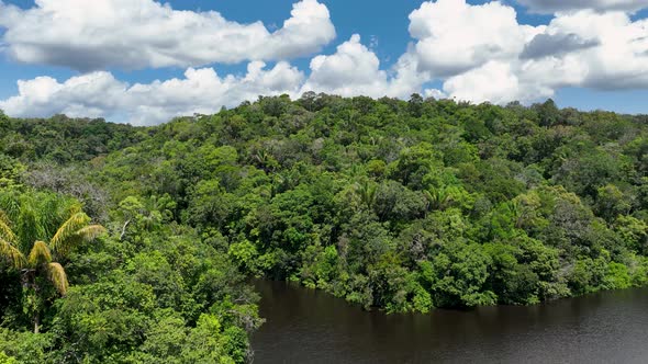 Stunning landscape of Amazon Forest at Amazonas State Brazil. alt