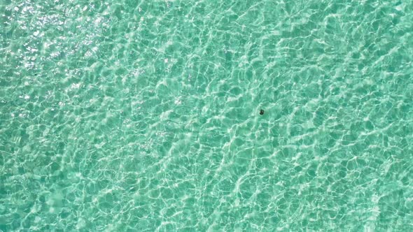 Aerial abstract of exotic seashore beach adventure by shallow sea with white sandy background of a d alt