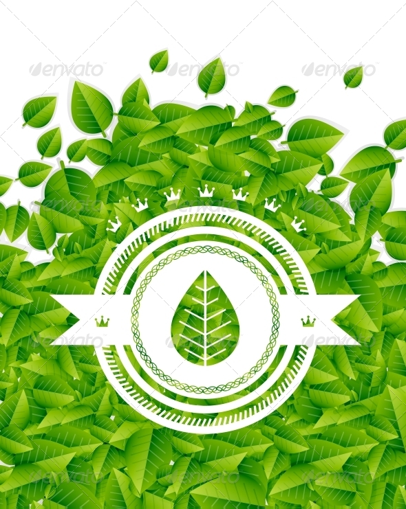 Spring / Summer Green Leaves Nature Background - Flowers & Plants Nature