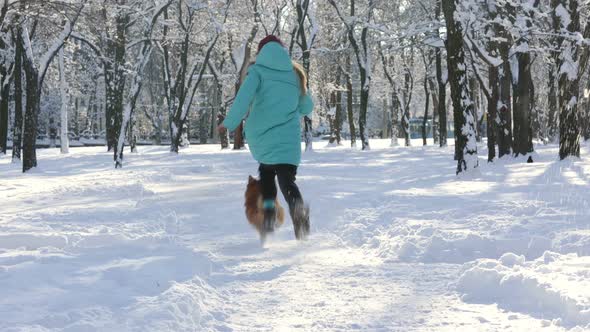 Girl Plays With The Corgi Dog 2 alt