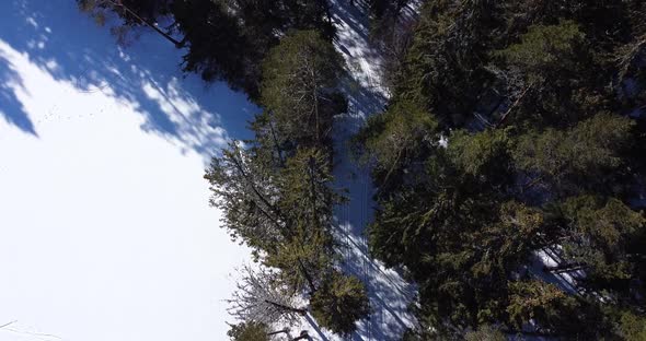 Group of Athlete Contestant Skiers are Skiing While Aerial Drone Footage alt
