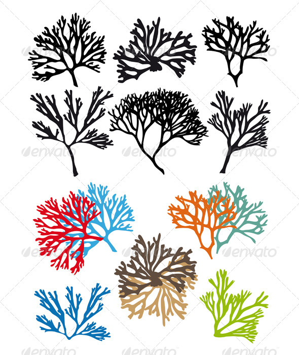 Corals Reefs Vector Set by amourfou GraphicRiver