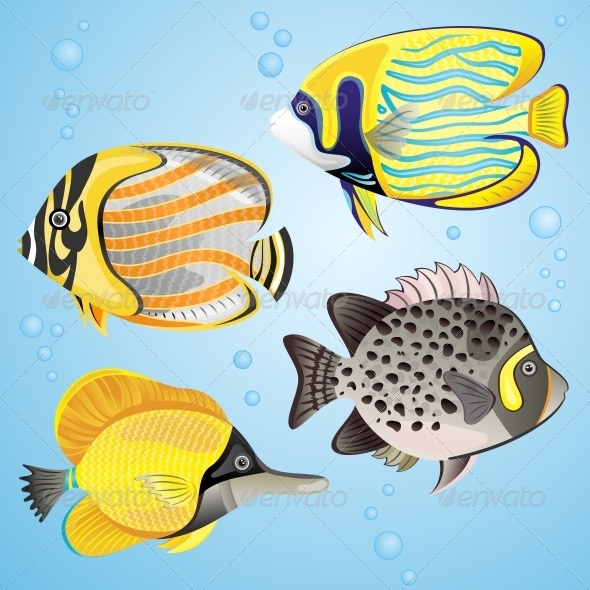 Exotic Fish Set - Organic Objects Objects