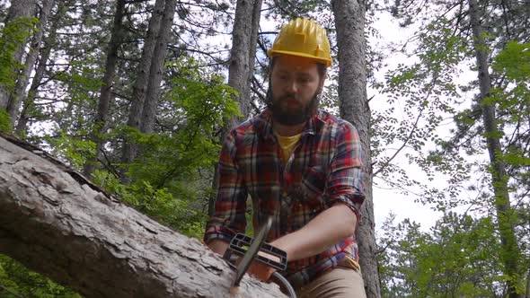 Cutting Through Wood with Chainsaw