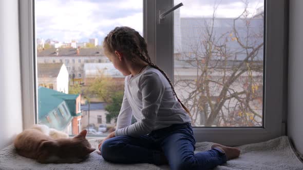 The Girl Sits with a Cat on the Windowsill and Looks Out the Window