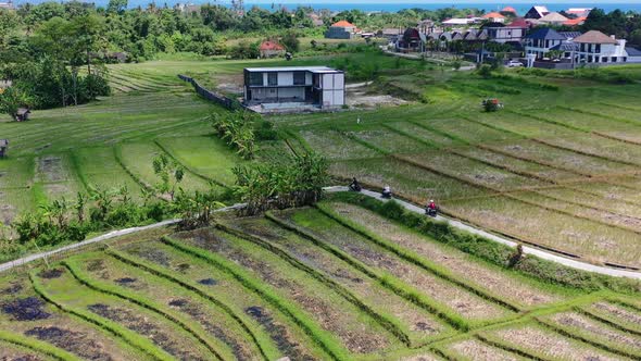 scooters driving on a narrow road through the Bali rice fields on sunny day, aerial alt