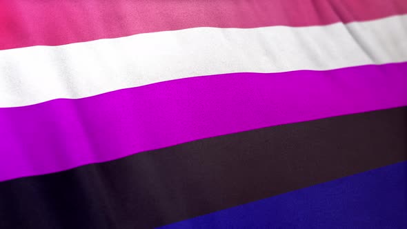 Genderfluidity Pride Flag Loop