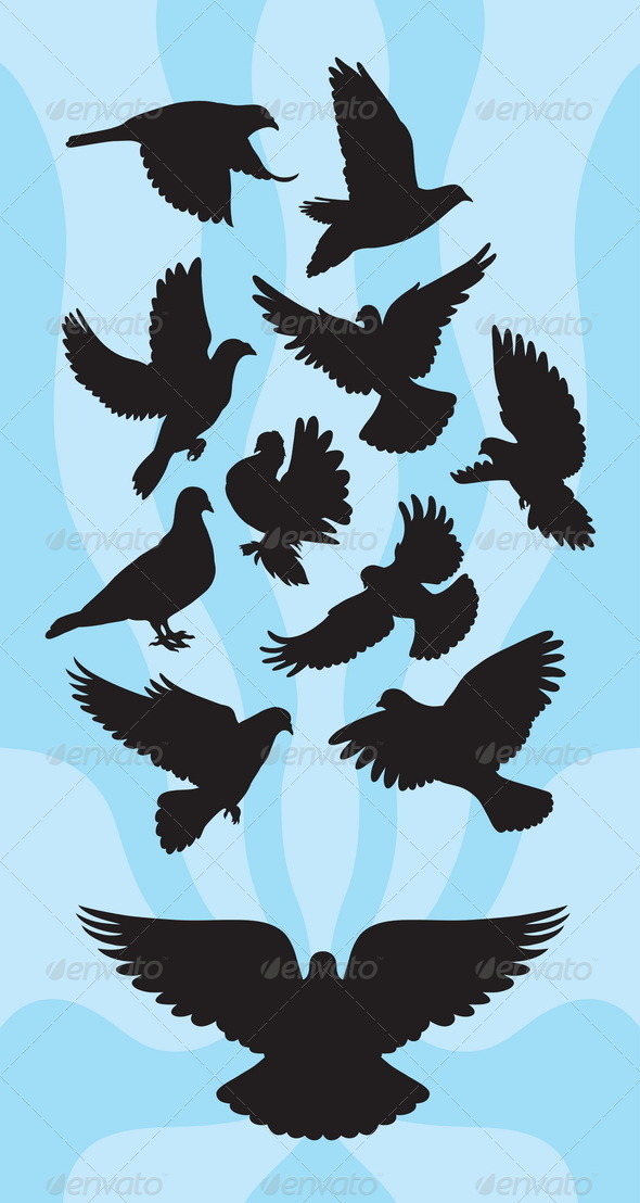 Dove or Pigeon Silhouettes - Animals Characters