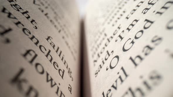Macro Footage of Words on Pages of a Book alt