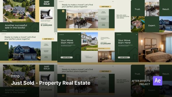 Intro/Opening - Just Sold Property Real Estate After Effects Project Files Product Promo template preview