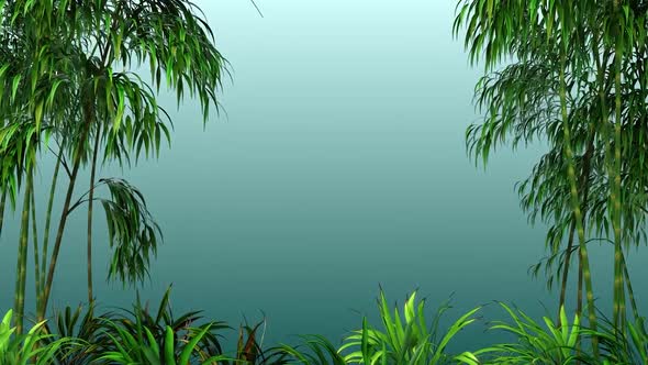 Background Bamboo Vegetation