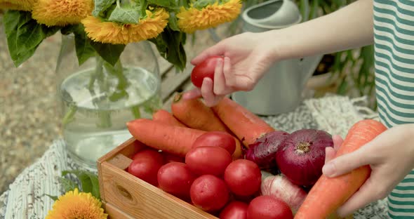 Choosing Organic Vegetables at the Street Market