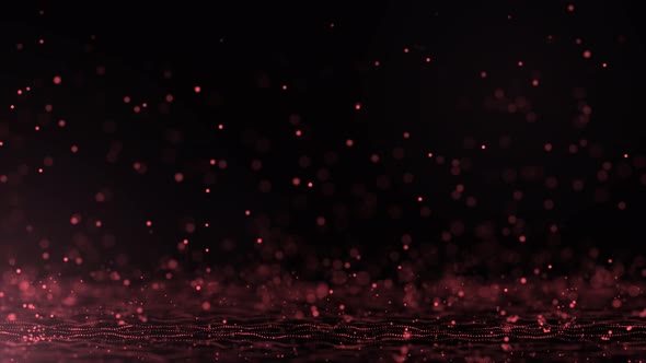 Pink Particle Bounce Animation
