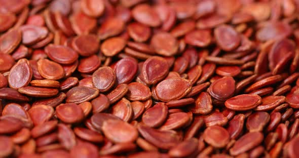 Red Watermelon Seed alt