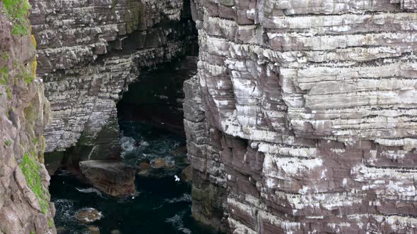View of a breathtaking seabird colony on a the great sea stack of Handa Island (Scotland) in the dee alt