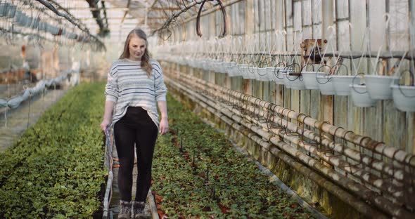 Agriculture - Female Gardener Examining Flower Seedlings alt