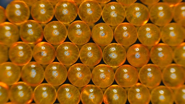 Yellow Transparent Capsules Of Fish Oil Are Lined Up In A Row