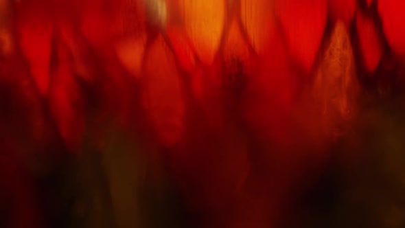 Cinematic Abstract Motion Background (No CGI used) 1683 alt