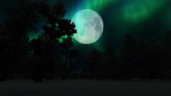 Aurora Borealis and Full Moon