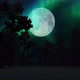 Aurora Borealis and Full Moon, Backgrounds Motion Graphics ft. astronomy &  aurora borealis - Envato Elements