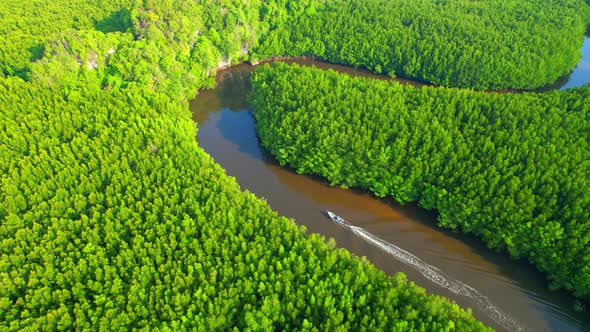 Top view of the boat cruising along the river with mangroves surrounding. alt