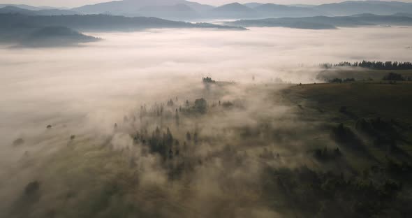 The Sun Dispels The Thick Fog That Covers The Entire Surface. Carpathian Mountains