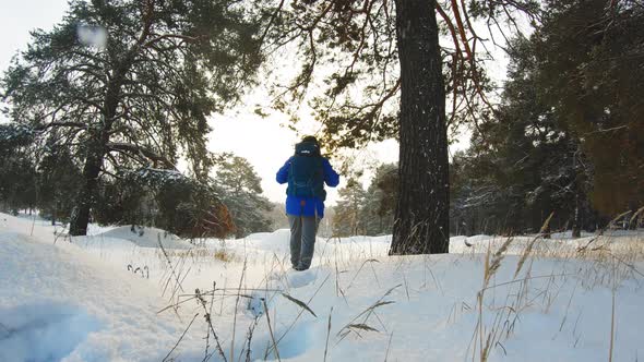 Hiker with Backpack Walking in the Pine Forest Covered with Deep Snow alt