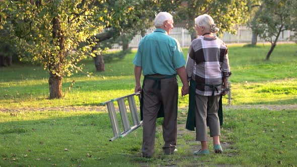 Senior Couple Kissing, Summer. alt