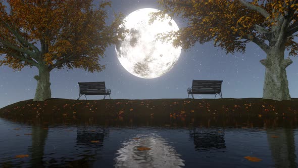 Autumn Moonlight