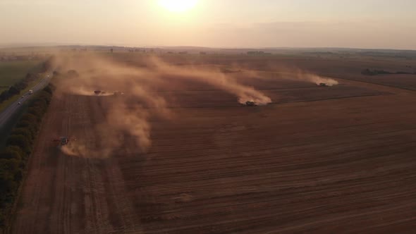Harvest during summer sunset from the fields. Many combines harvesting wheat. Aerial drone view. alt