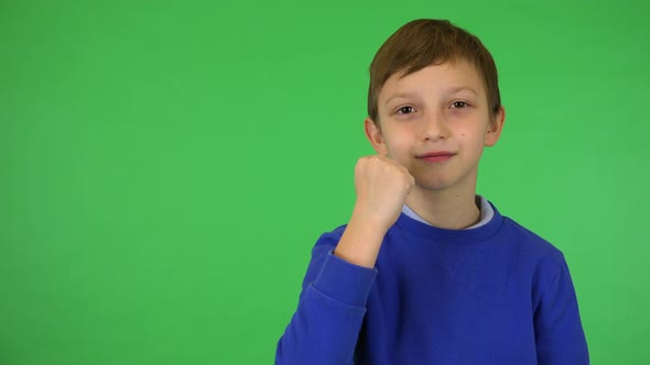 A Young Cute Boy Celebrates - Green Screen Studio alt