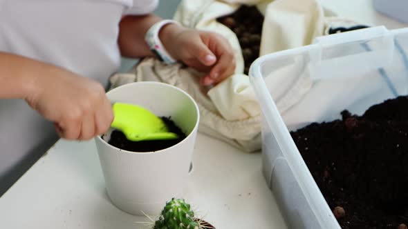 Little Child Girl Transplants a Cactus Into New Pot at Home