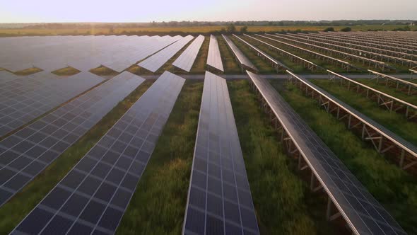 HDR Aerial View of Solar Panels Stand in a Row in the Fields Power Ecology Innovation Nature alt
