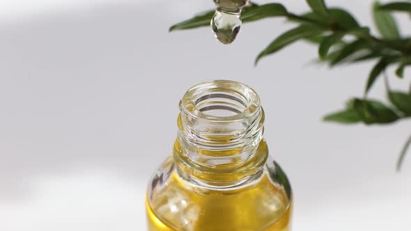 Golden Oil Dripping Into a Bottle From a Glass Pipette on a White Background with Green Plant