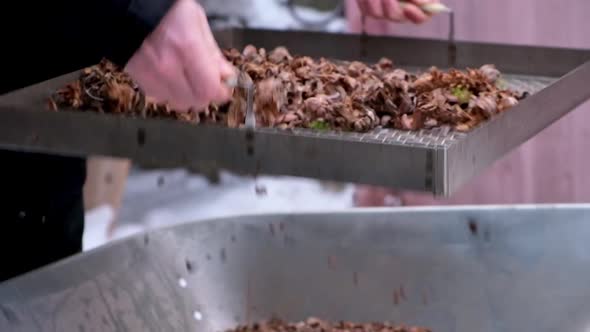 Man Sifts Nuts From Large Debris to Extract Cedar Nuts From Siberian Pine Cones