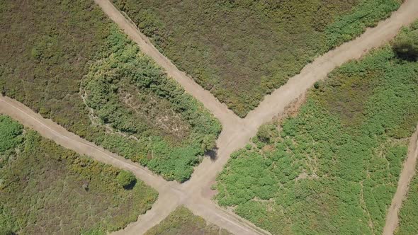 Overhead view of blooming heather in Woodbury England. Sky view of dirt road in southwest England. alt