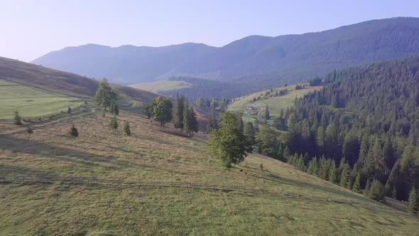 Mountains and Pastures in the Ukrainian Carpathians