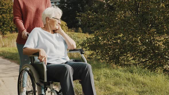 Young Woman Caregiver Pushing and Elderly Lady in the Wheelchair in the Park alt