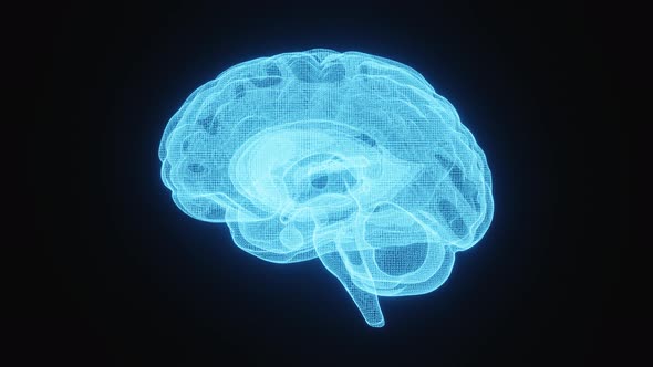 Seamless looping glowing X-ray image of human brain