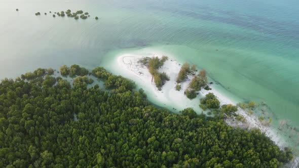 Coast of Zanzibar Island Tanzania Covered with Thickets alt