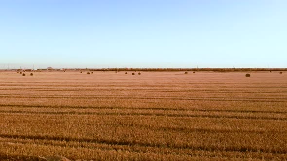 Aerial View Rolls Haystacks Straw on Field Harvesting Wheat alt