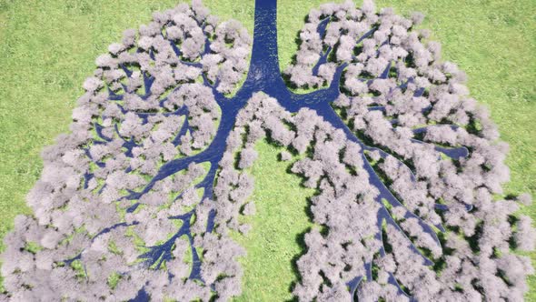 Lung Forest Environment Nature Earth Save Earth Green Planet Rural Scenery Farm alt